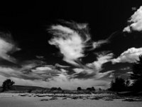 TIB 20101112 0021 : Day 63